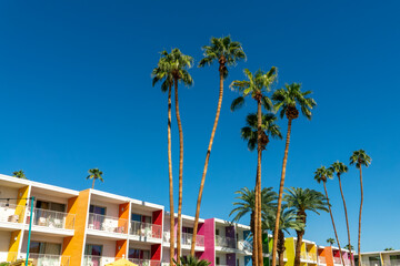 Saguaro hotel, palm trees and colorful architecture in Palm Springs, California - obrazy, fototapety, plakaty