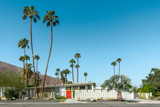 Modern Mid-century House Architecture And Palm Trees In Palm Springs, California