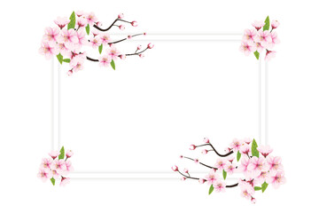 Cherry blossom frame with space for text. Vector illustration. cherry blossom sakura branch isolated on white background. vector illustration