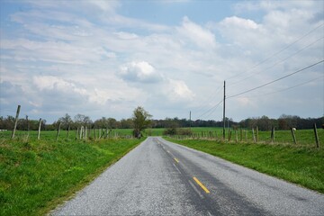 Fototapeta na wymiar road in the countryside