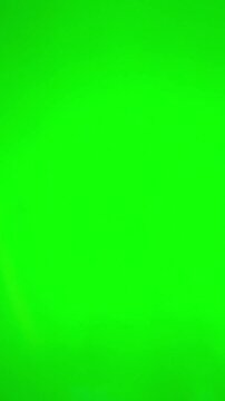 female hands with french manicure on green screen approving thumbs up on both hands quick change of hand position rejoicing woman