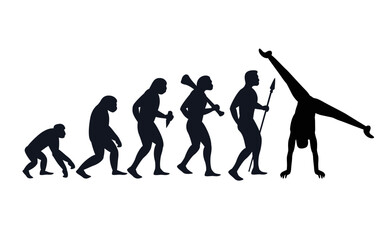 Evolution from primate to gymnast