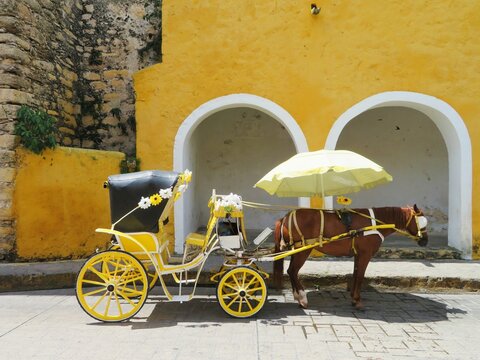horse carriage in front of a church
