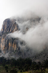 Mountains in the clouds. Aerial view of a mountain peak with green trees in the fog. Beautiful landscape with high cliffs, sky. Dedegol. Turkey.