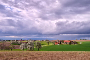 Obraz premium Baumblüte im Mostviertel, Ybbstal, Niederösterreich