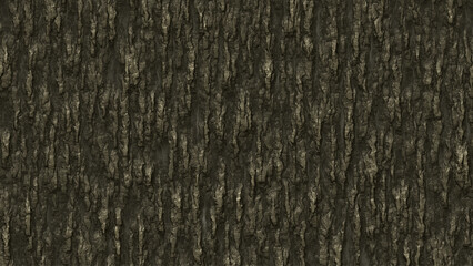 Bark texture background