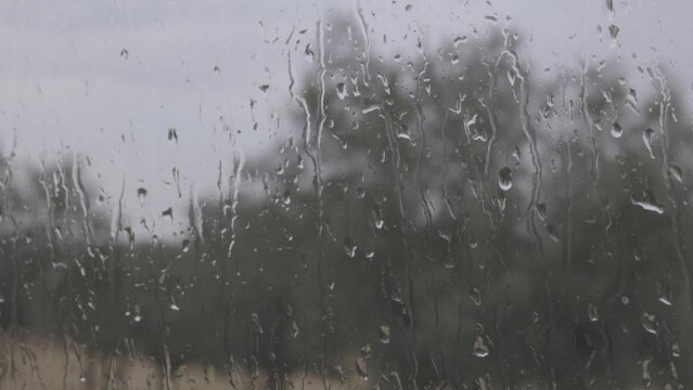 rain drops on the window