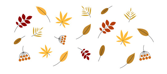 Abstract autumn leaf, autumn elements bundle, different fall leaves.