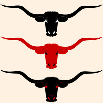 Texas longhorn Texas cow head vector isolated transparent without background in three versions ready for print or for tattoo black and white