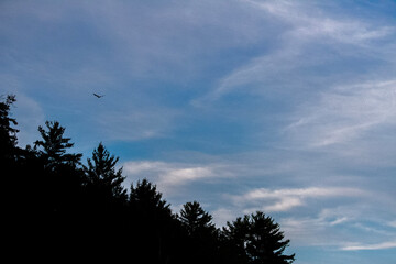 clouds in the sky