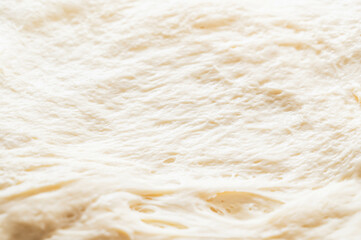 伸ばした生地　フランスパン作り