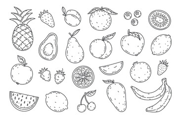 Set hand drawn fruits and berries icons set. Natural tropical fruits. Decorative collection in doodle style farm product restaurant menu, market label, organic, vegan food. 