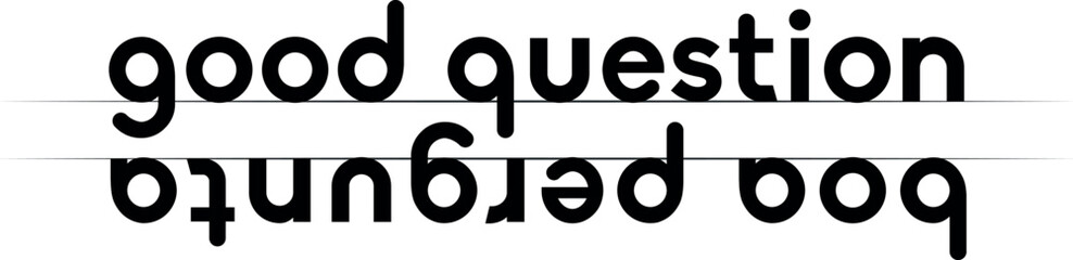 Text for a t-shirt with the words good question in Portuguese and English.