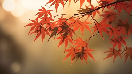 Red Japanese maple leaves branch in a tree with copy space for background and backdrops. Generative AI technology.