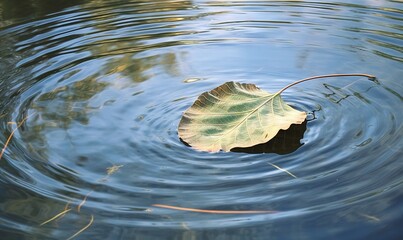  a leaf floating on top of a lake next to a leaf floating on the surface of the water with ripples on the water surface.  generative ai