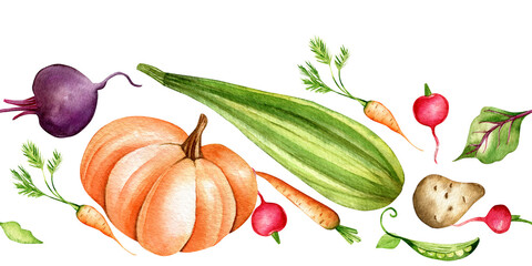 Seamless watercolor border. Hand drawn vegetables. Pumpkin, zucchini, radishes, carrots, beets, potatoes, peas. Template, pattern, frame
