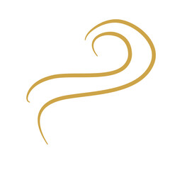 Obraz premium Gold Flourish Swirl Ornament