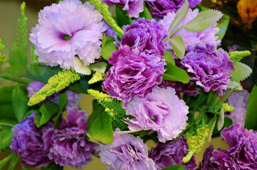 purple and white flowers