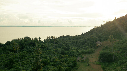 Obraz premium Panoramic aerial drone view of tropical island scenery with lush green forest trees at Tinggi Island or Pulau Tinggi in Mersing, Johor, Malaysia
