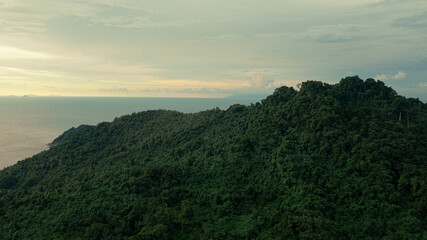 Aerial drone view of lush green island scenery with at Tinggi Island or Pulau Tinggi in Mersing, Johor, Malaysia