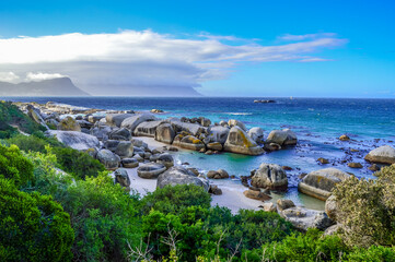 Fototapeta na wymiar Rocky boulder's beach is a turqoise and sheltered beach and a famous tourist destination in cape town