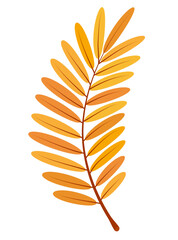 Rowan autumn leaf. Element for design isolated on white background.