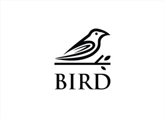 bird logo design