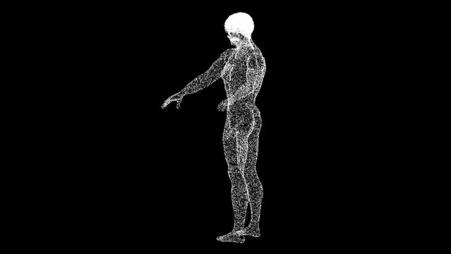 3D naked male body rotates on black background. Human anatomy concept. Muscles anatomy system. For title, text, presentation. Object made of shimmering particles. 3d animation 60 FPS