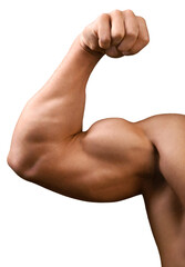 Big bicep Muscular builder man - obrazy, fototapety, plakaty