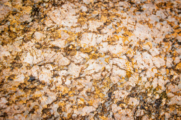 Granite like rock texture with yellow & white 