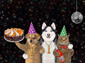 Two dogs and cat with cake 2