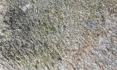 Stone Texture Relief Natural Beige