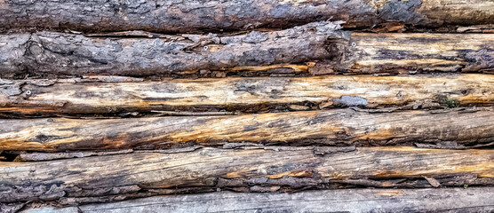Rough Bark Log Flooring Wall Texture 