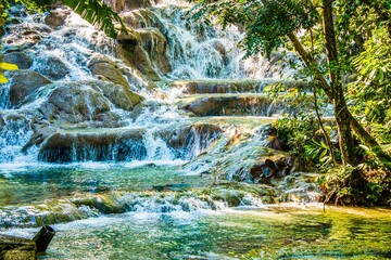Dunn's River Falls in Ocho Rios, Jamaica - obrazy, fototapety, plakaty