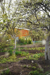 Brick country house with a vegetable garden and flowers