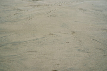 Patterns in the sand. Beach along the Oregon Coast.