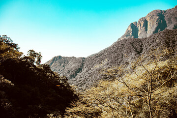 Visão aérea da serra curitibana com visão das montanhas e da flora no Paraná Brasil. 
