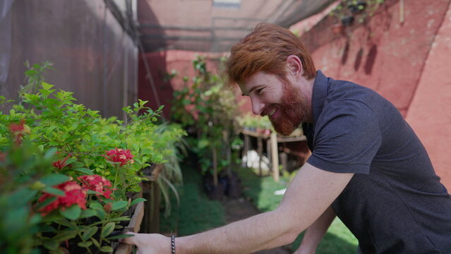 Joyful young man pulling plant from shelf standing outside in backyard garden. Person showing greenery plot of plant outdoors