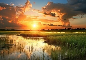 Fototapeta premium Rice field created with Generative AI technology