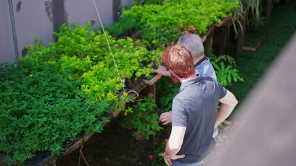 Fototapeta premium Candid Florist assisting customer at local business plant store. A senior male Flower Shop owner helping person pick plant at horticulture place