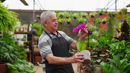 Fototapeta na wymiar Candid Senior Man Examining Flower in Horticulture Store. Older Entrepreneur Observing Plant Arrangement