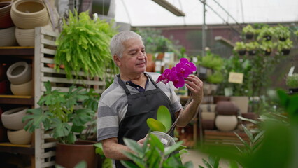 Naklejka na ściany i meble Candid older man holding Flower inside horticulture plant store. Senior business owner entrepreneur observing arrangement