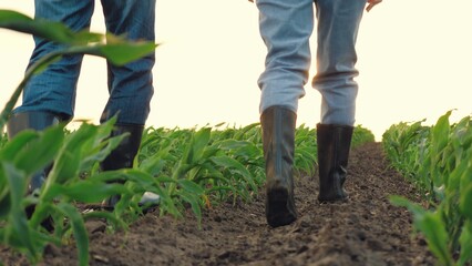boots feet field, boots walk ground ground soil, agriculture rubber boots farmer team wheat corn,...
