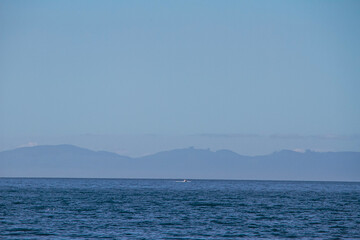 blue sky and sea