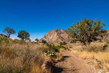 Fototapeta premium the grand canyon