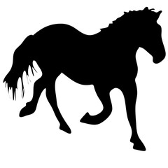 Obraz premium Vector black and white silhouette ready to print: elegant draft horse