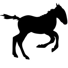 Fototapeta na wymiar Vector black and white silhouette ready to print: a cute horse foal, moving pose