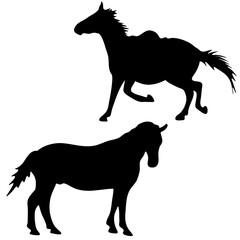 Vector black and white silhouette ready to print: horse set