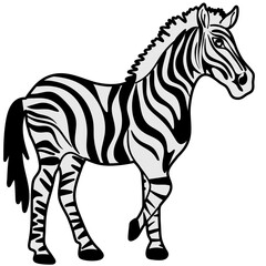 Obraz premium Vector colorful cartooned illustration for children: cute zebra horse
