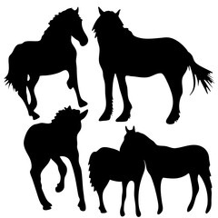 Vector black and white silhouette ready to print: horse set